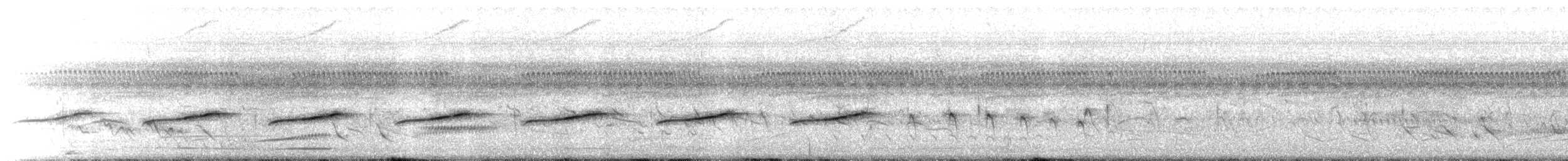 Zweifarbenspelzer - ML646071852