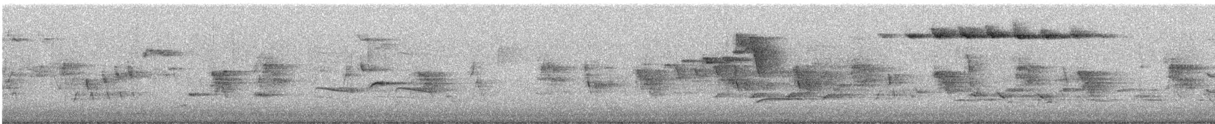 Streifenwaldsänger - ML646071897