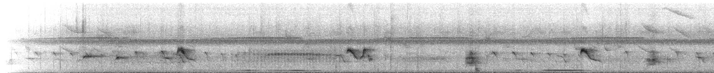 Eulerschnäppertyrann - ML646071974