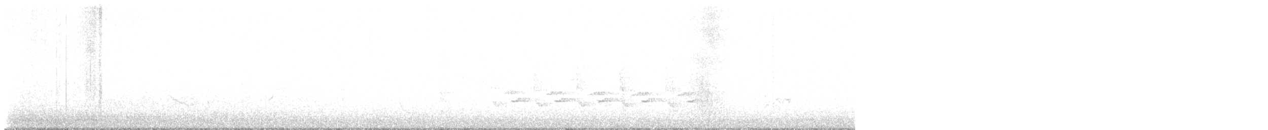 Carolinazaunkönig - ML646072104