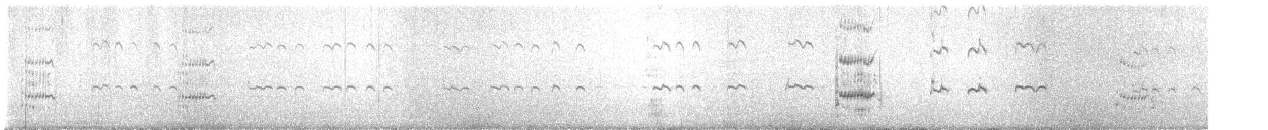 Königsseeschwalbe - ML646072196