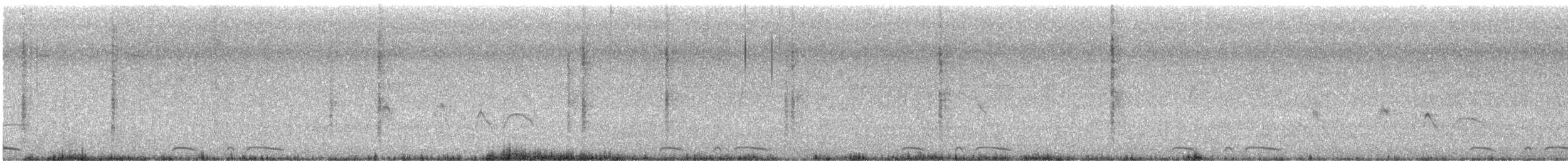 Trauergrackel - ML646072449