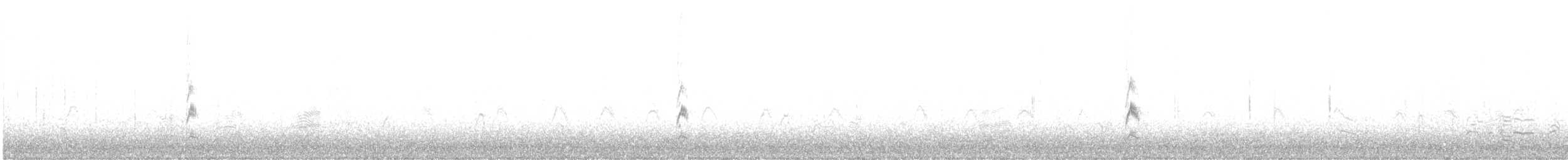 Song Sparrow (melodia/atlantica) - ML646072801