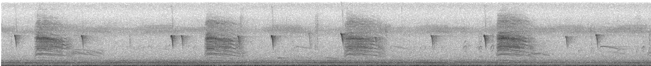 Феб буроспинний - ML646073091