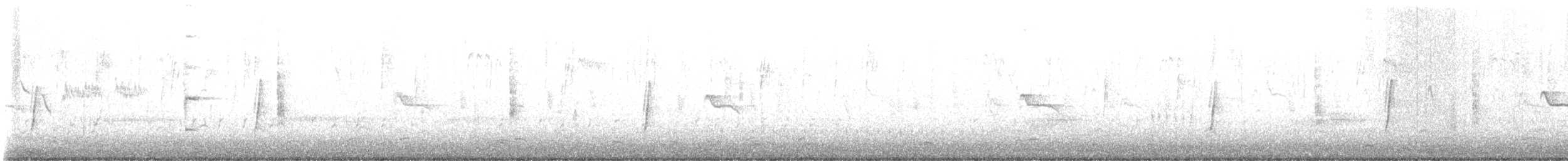 Willow Flycatcher - ML646074577