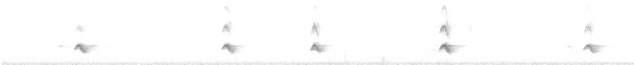 Mokolodi bekainoria - ML646075129