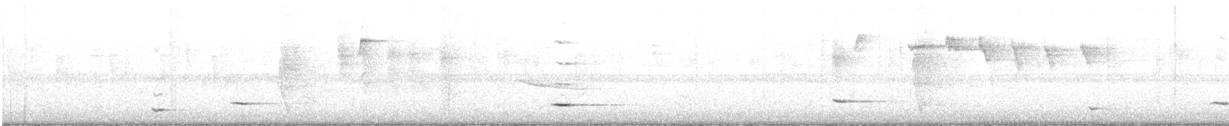 Weißflügeltaube - ML646075176