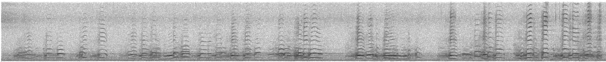 Branta kanadar handia - ML646075254