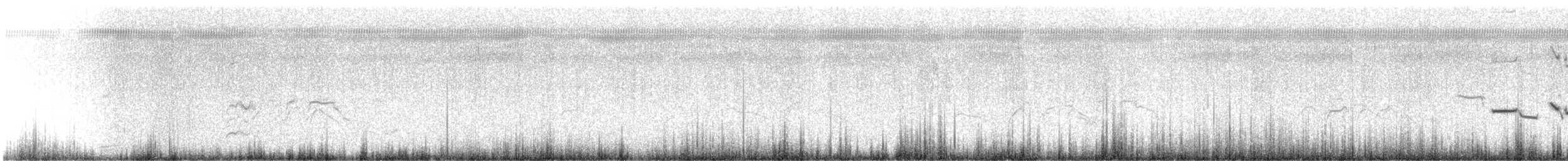 Zuhaitz-ahate musuzuria - ML646075642