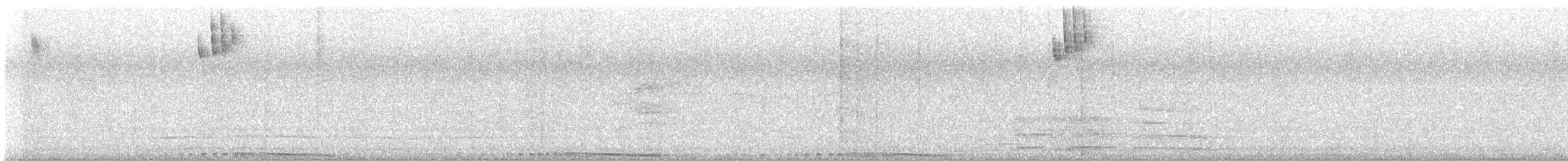 Puerto Rican Spindalis - ML646075717