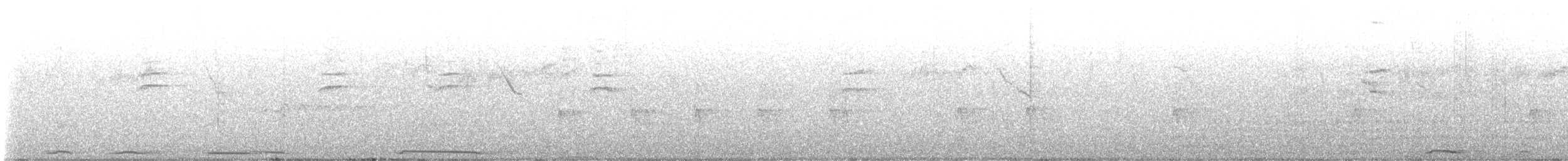 White-winged Dove - ML646076115