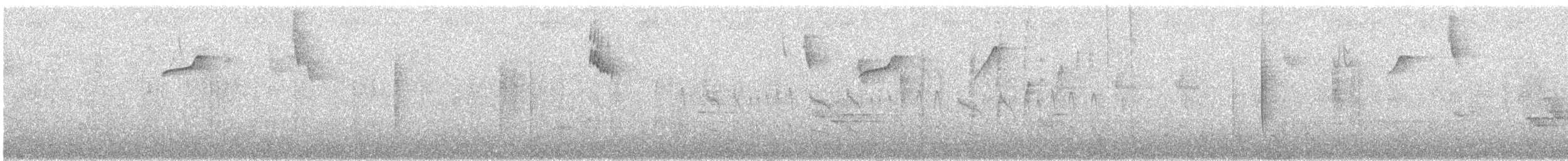 Black-chested Fruiteater - ML646076117