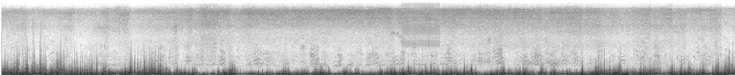 Aizturmoko amerikarra - ML646076150