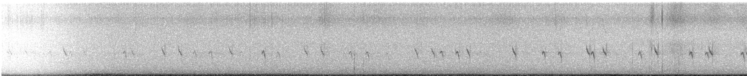 Mokoker arrunta - ML646076171