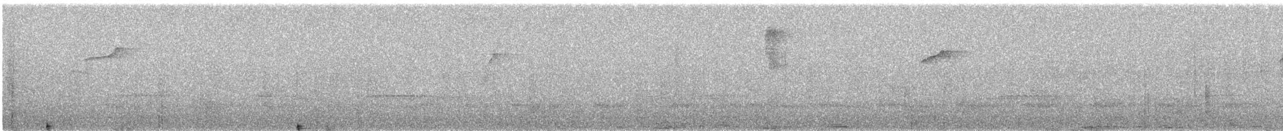 Black-chested Fruiteater - ML646076174