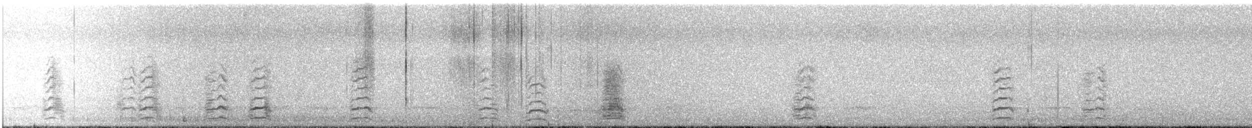 Snow Goose - ML646076395