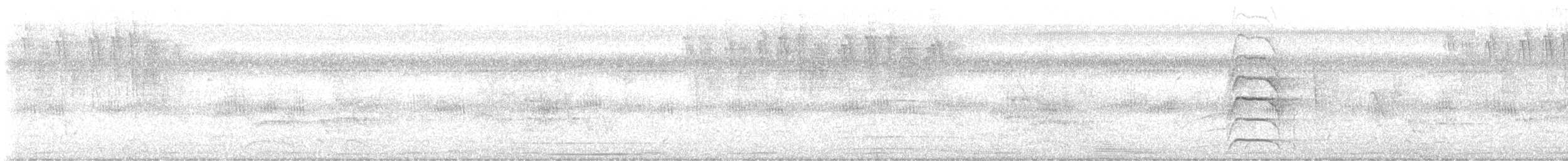 Great Kiskadee - ML646076736