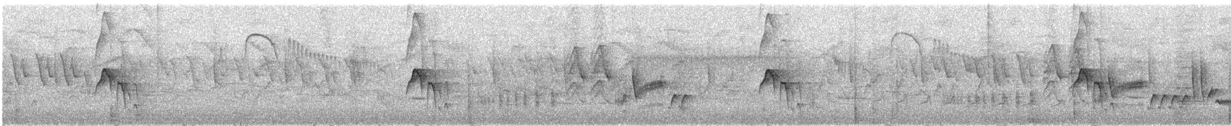 Golden-bellied Flycatcher - ML646076804