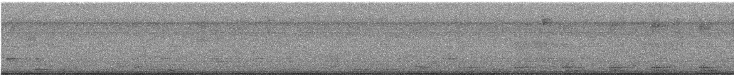 Bicolored Wren - ML646076812