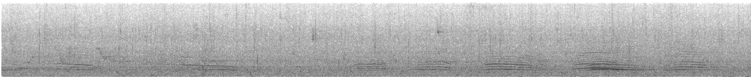 Australian Raven - ML646076855