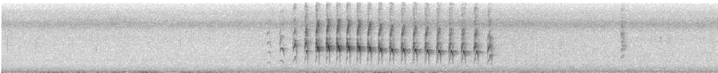 Plain Thornbird - ML646076881