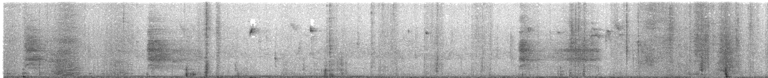 Brown Jay - ML646077042