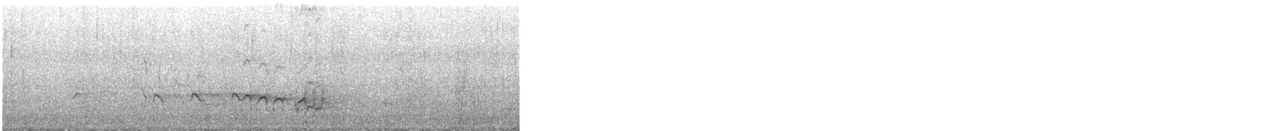 White-browed Babbler - ML646077126