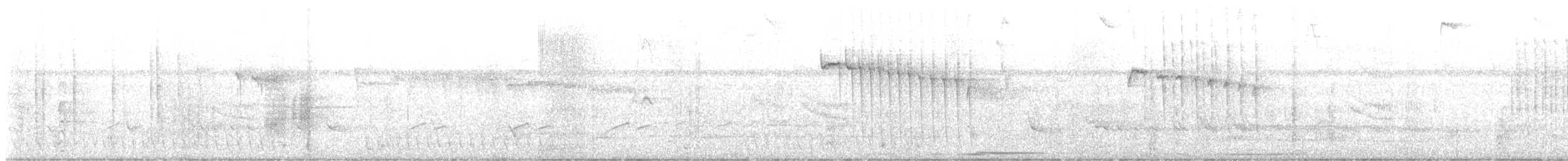 Rufous-tailed Hummingbird - ML646077352