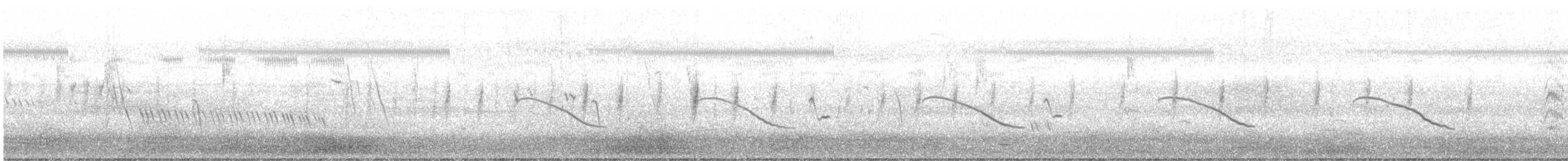 Horsfield's Bronze-Cuckoo - ML646077426
