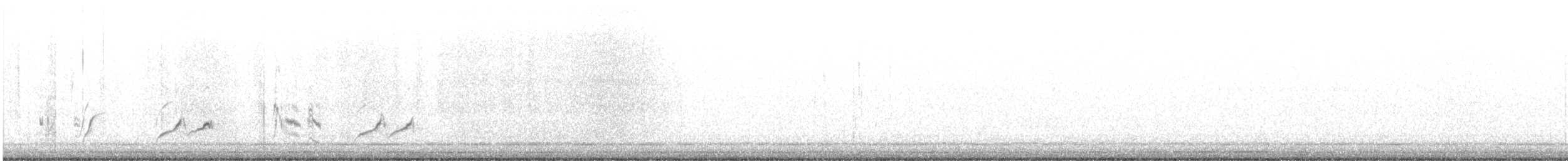 LeConte's Thrasher - ML646077624