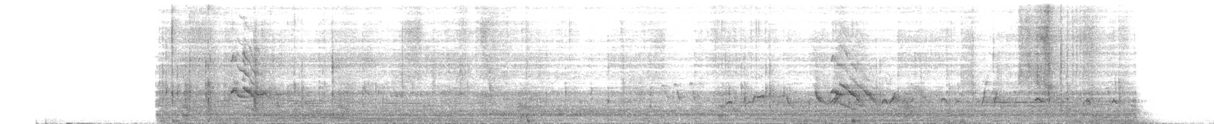 woodpecker sp. - ML646077815