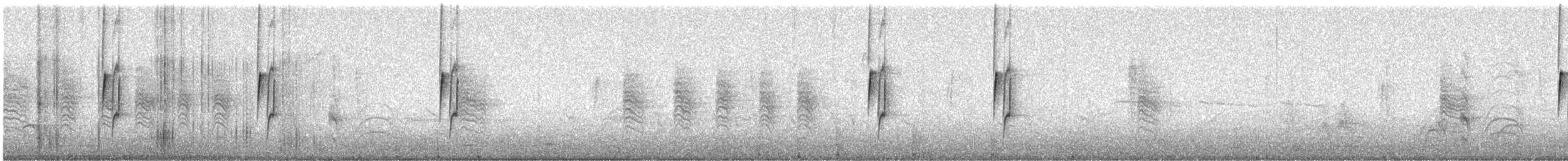 småempid - ML646077993