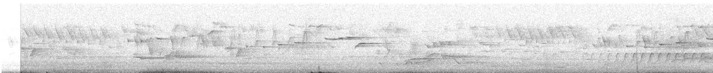 tasmanravn - ML646078034