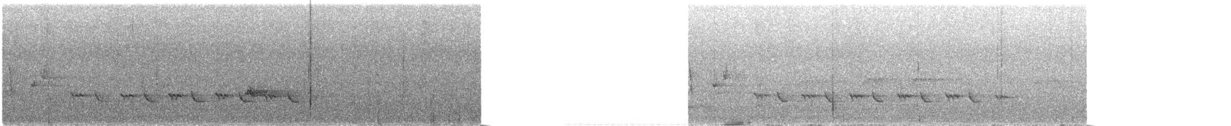 svingeflueskvett - ML646078054