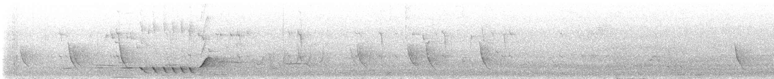 hvittøyleplystrer - ML646078367