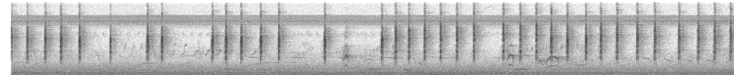 båndsmett - ML646078724