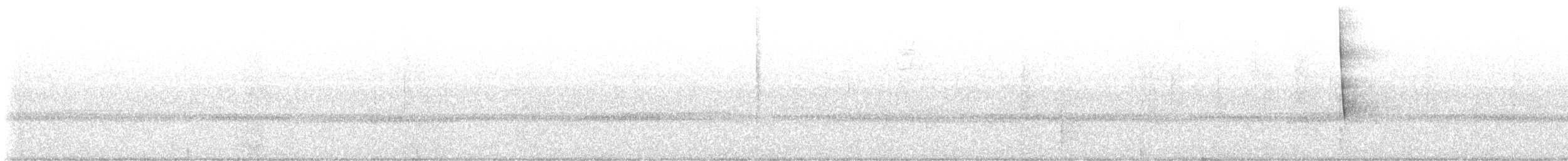 new world warbler sp. - ML646078751