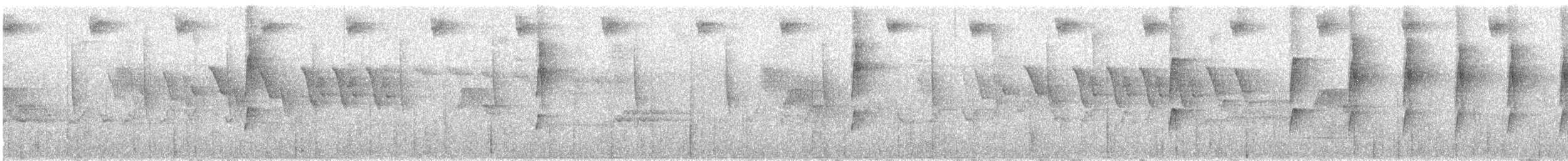 stripeløvgransker - ML646079175