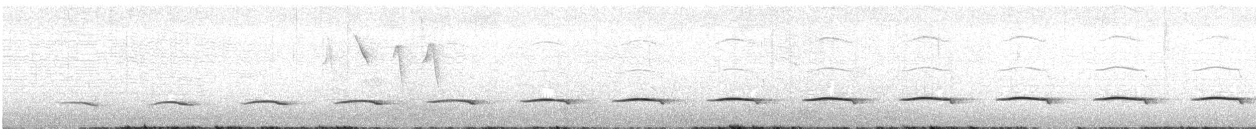 busktinamu - ML646079192