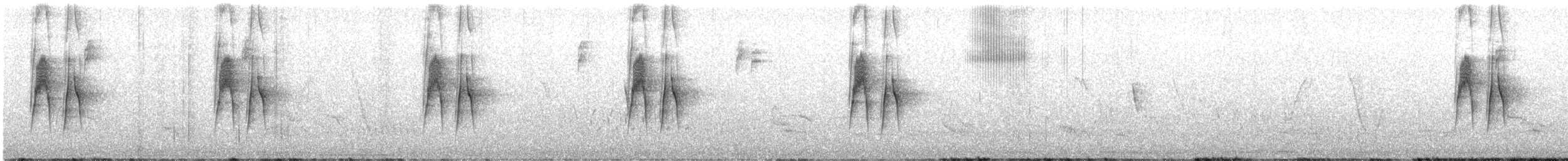 Пію блідий - ML646079325