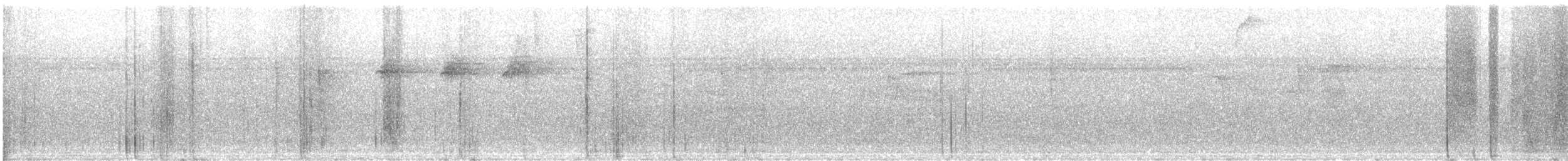 Scaly-breasted Hummingbird - ML646079356