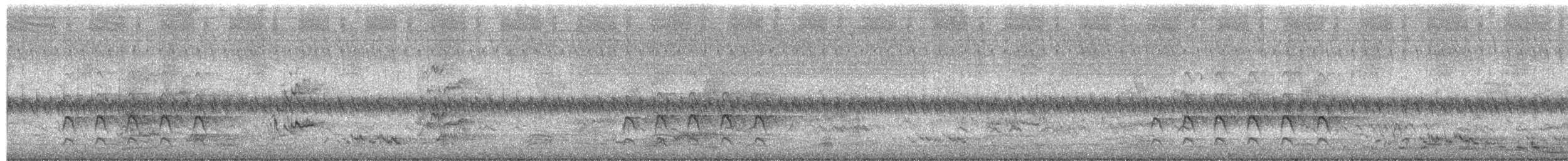 Sacred Kingfisher - ML646079412