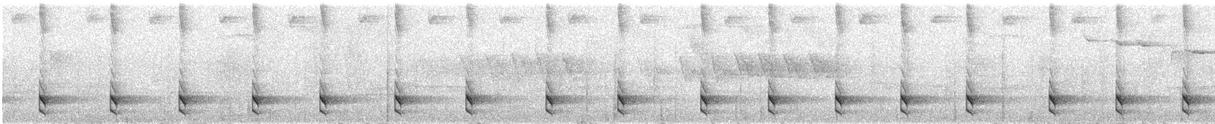 Long-tailed Tapaculo - ML646079443