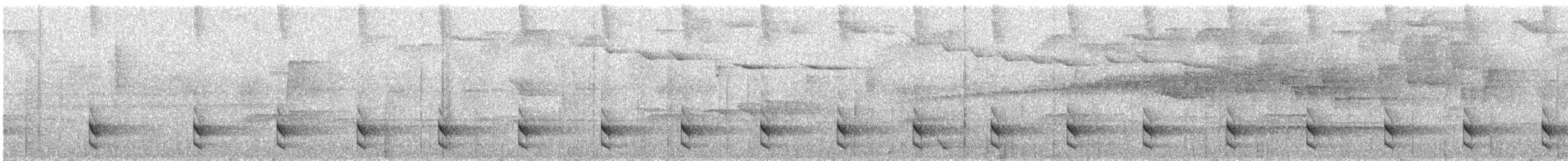 Long-tailed Tapaculo - ML646079444