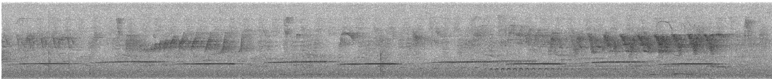 Northern Chestnut-breasted Wren - ML646079518