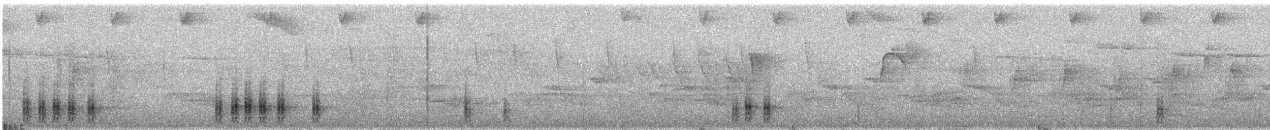 bird sp. - ML646079620