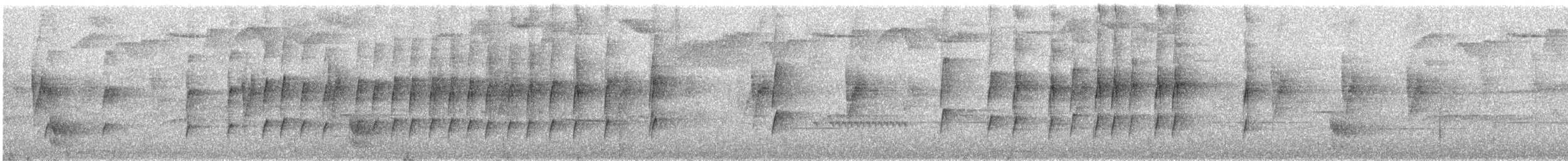 bird sp. - ML646079629