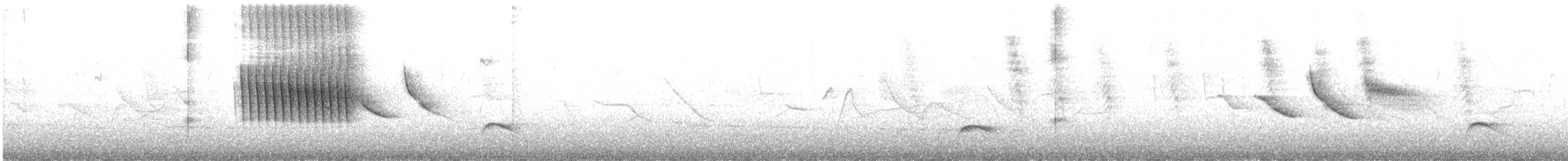 Thorn-tailed Rayadito - ML646079643