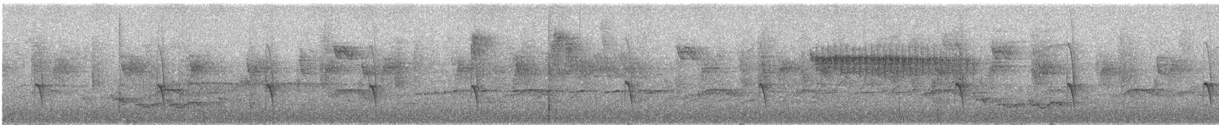 Violet-fronted Brilliant - ML646079737