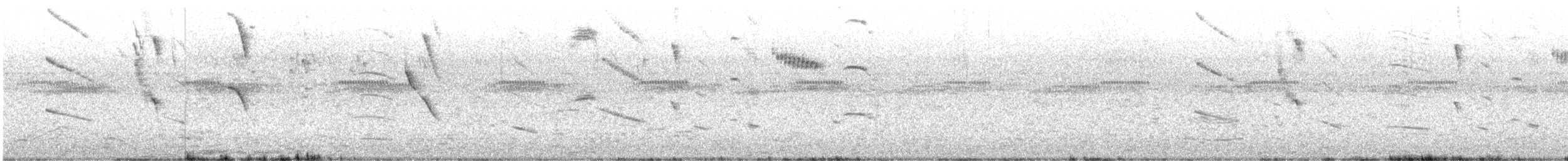 Grayish Baywing - ML646080234